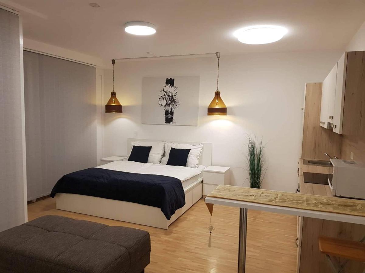 Central Lg Studio Free Parking Graz Bagian luar foto